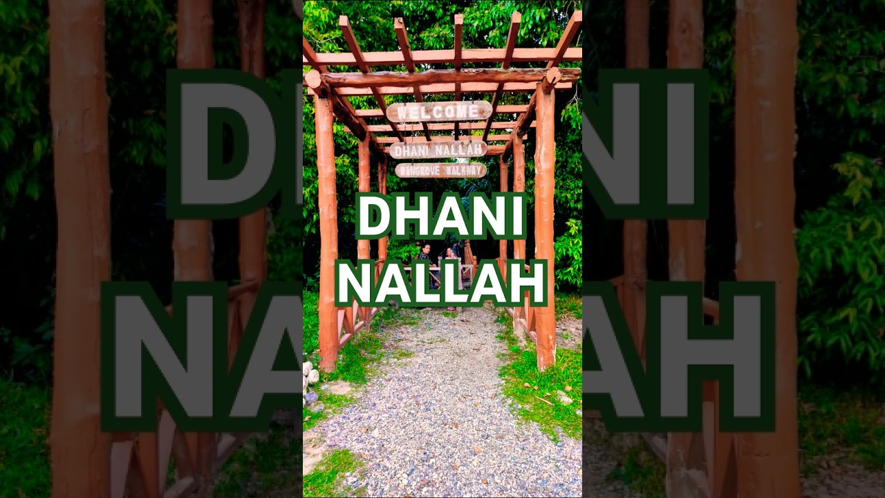 DHANI NALLAH 🙋‍♀️