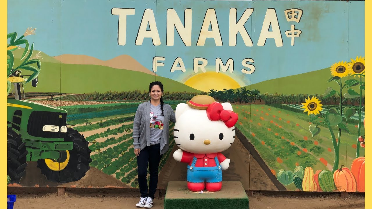Tanaka Farms