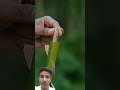 #craft arrow craft material and bamboo mini gaan #craft #bamboo #youtubeshorts #ytshorts
