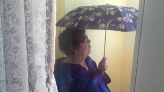 IMG 7438