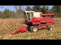 INTERNATIONAL 815 Combine Harvesting Corn