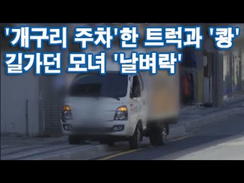 '개구리 주차' 트럭과 꽝…인도 덮치며 길가던 모녀 참변 [뉴스 9]