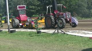 Maaikel Raben 2,6 Ton Standaard Buurse 2023