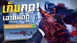 [Call of duty mobile] - เก็บกดรอมานาน! กับสกิน Locus - Metal Whiskers (10,000 CP) เมี๊ยว