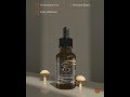 Chaga Mushroom Tincture for Immune Support
