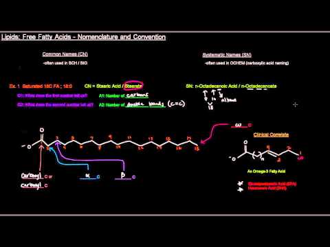 Lipids (Part 3 of 11) - Free Fatty Acids - Nomenclature and Convention