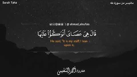 أرح سمعك.... تلاوة ماتعة بصوت القارئ أحمد النفيس/حالات واتس اب