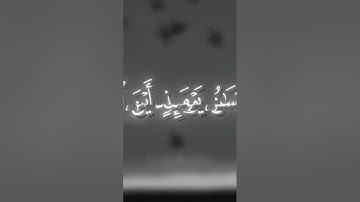 سورة القيامة #اكسبلور