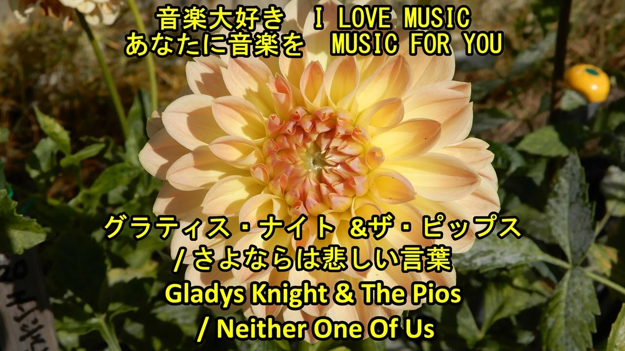 音楽大好き 「あなたに音楽を1」グラティス・ナイト / さよならは