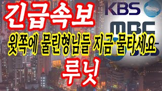 [루닛 주가전망]  이젠 무조건 올라가는 일만 남았다