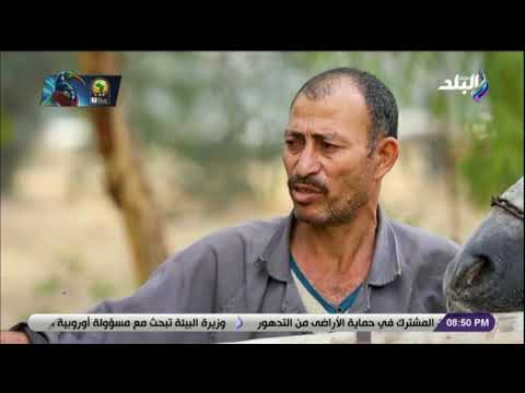نظرة كيف ينام الحصان وما هي المدة التي ينامها