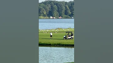 Enjoy Lake Nature Play Golf Birds Audience 2025 