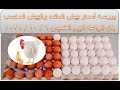 أسعار بيض المائده والبيض المخصب بمختلف انواعهم اليوم الاحد 9 10 2022 أسعار بيض المائده والبيض المخصب بمختلف انواعهم اليوم الاحد 9 10 2022