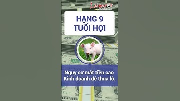 #shorts Xếp Hạng Tài Lộc Tháng 5 Năm 2023 Của 12 Con Giáp Ai Đón Lộc Ai Hao Tài