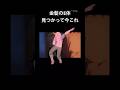 全てがどうでも良くなったタコピー#takopi #anime #タコピーの原罪 #タコピー #お疲れsummer