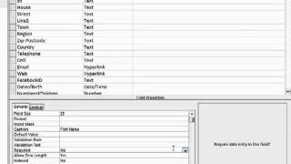 Microsoft Access 2010 - Managing The Each Fields Properties