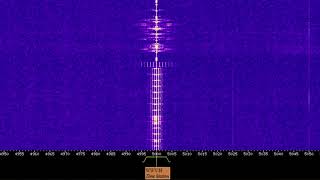 WWV Time Station 1 Hour Full Cycle - No Loop Radio ASMR