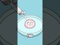 What? IVF Babies Can Have Ectopic Pregnancies Too?#animation #funny #shorts