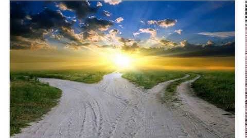 Probability Decision Trees