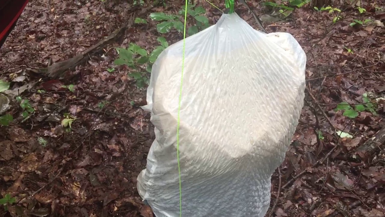 Warbonnet Thunderfly short review