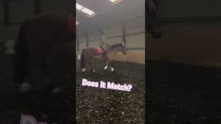 Does his trot match the sound? #bighorse #equestrianjourney #equestrian #horse