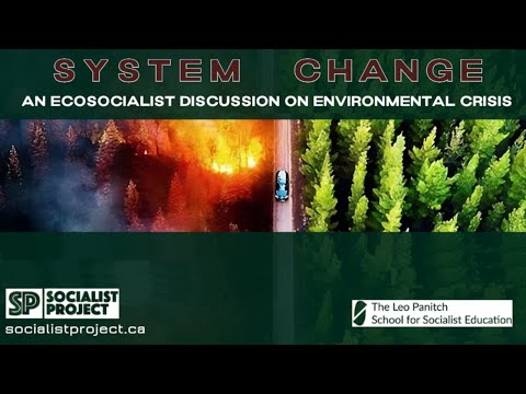 System Change: Ecosocialist discussion on environmental crisis