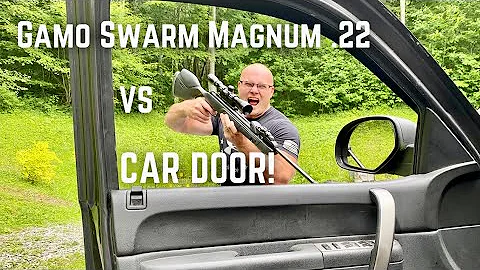 Gamo Swarm Magnum .22 cal. VS Car Door!  Will it perform better than the .177?