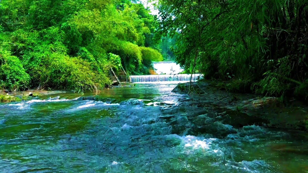 1 Hour Deep Sleep River ASMR: Relaxing Forest Stream Sounds for Anxiety Relief & Insomnia