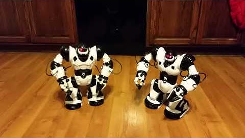 WowWee Robosapiens X dancing.