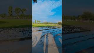 Khet Me Dhan Ki Lagai  Ajay Sharma song hindisong love bollywood cutebaby funny