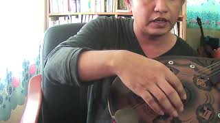 မယ်ဒလင်လက်တွေ့ ကြိုးညှိကြည့်မယ် Myanmar Mandolin Tuning screenshot 5