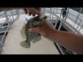 Crappie Fishing With Live Bait!!