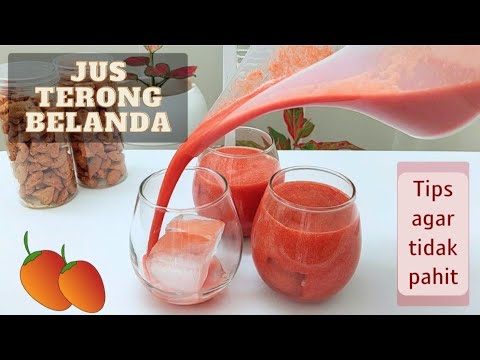 Resep Jus Terong Belanda Enak