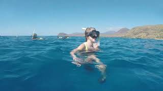 Oahu Boat Tour near Aulani, Ko Olina, Four Seasons ; Snorkeling with Turtles, Swimming with Dolphins
