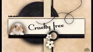 Présentation de la boutique screenshot 4