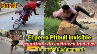 el perro Pitbull invisível part 3