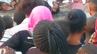 Kinondoni Shamba Gazeti