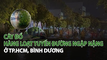 Cây đổ, hàng loạt tuyến đường ngập nặng ở TP.HCM, Bình Dương| VTC14