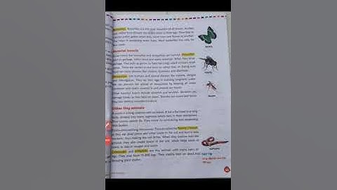 EVS-CLASS-III, Lesson-8. Tiny Animals (part-2)