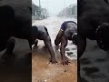 100 Mike Tyson Push ups in the Rain 🌧️ @Vegeta_pain @bambaam583