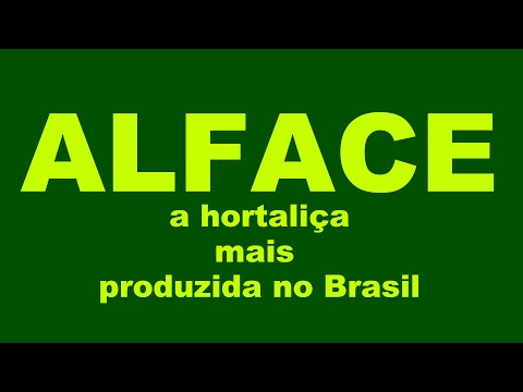 Vídeo: Variedades E Cultivo De Alface