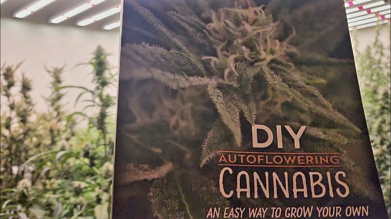 Relaxing Ganja Garden ✌️ 