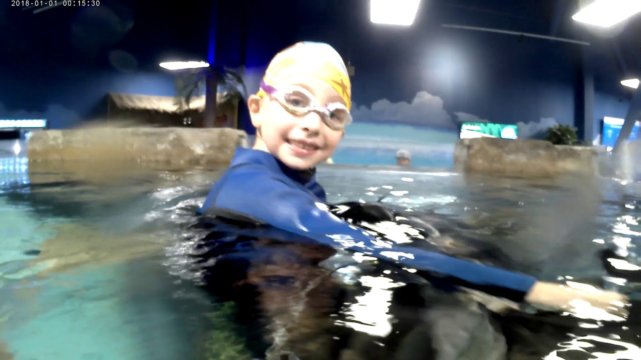 Swimming with Stingrays at SeaQuest YouTube