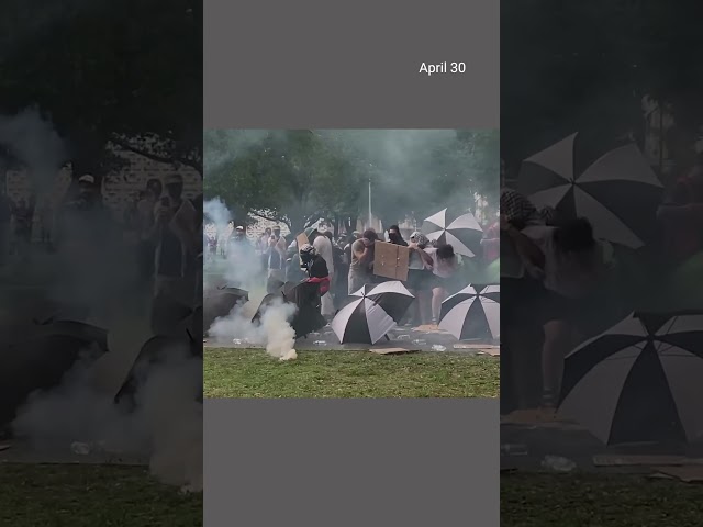 Police use tear gas on pro-Palestinian protesters at USF in Tampa class=