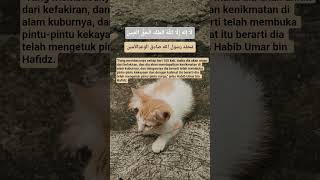 sholawat reels  viral like habibumarbinhafidz