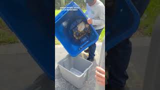 Florida man finds large snake at front door, calls 911 for help with wrangling it