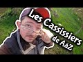 Les cassissiers de a  z  tous mes secrets pour les rendre productifs