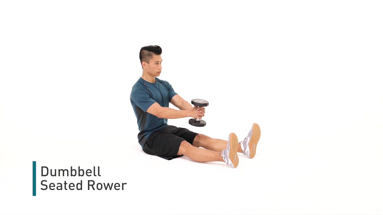 Dumbbell Seated Rower YouTube