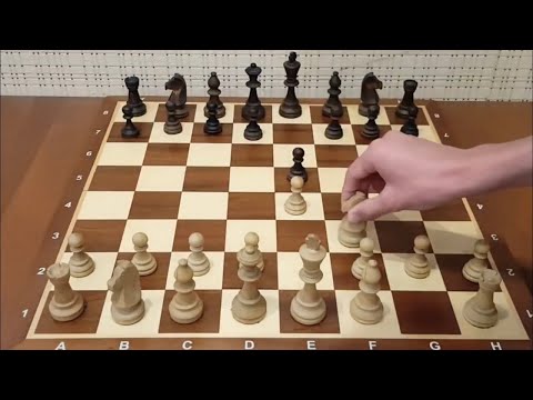 Видео: Сумасшедший ход! Эту ЛОВУШКУ нужно знать! Самый опасный вариант дебюта! Шахматы!