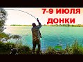 Рыбалка. Донки. Двое суток на реке с Больничкой и Афиногеном.